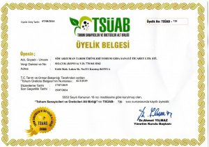 TSÜAB Üyelik Belgesi